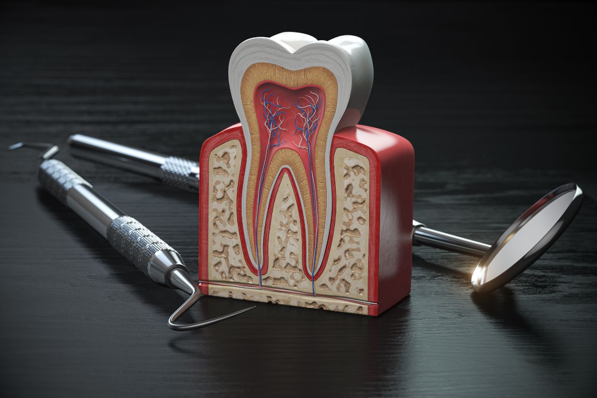 Not sure if you need a root canal or filling? Learn the key symptoms, treatment differences, and when to see a Phoenix dentist for care